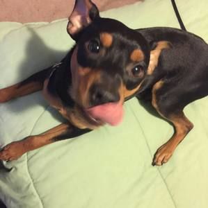 Meet your Posher, Tommy